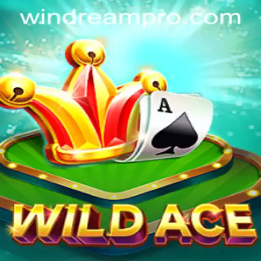 Unleashing the Adventure: WildAce and the Magic of WINDREAM